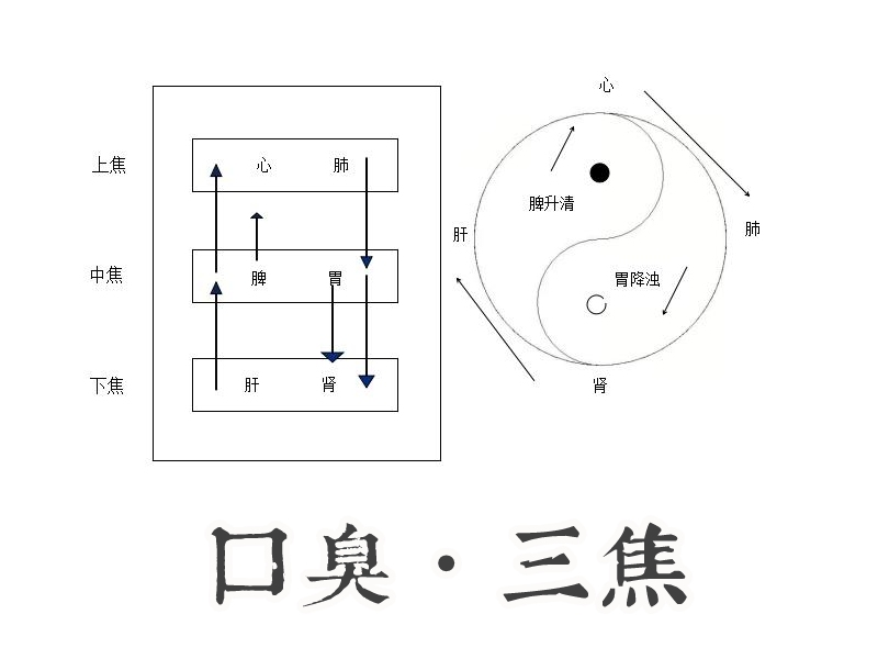 口臭三焦示意图