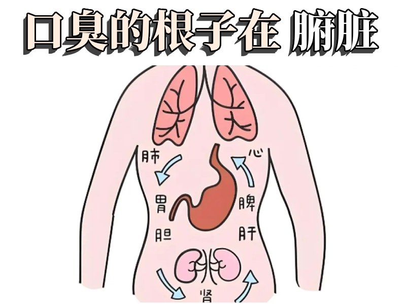 口臭的根源