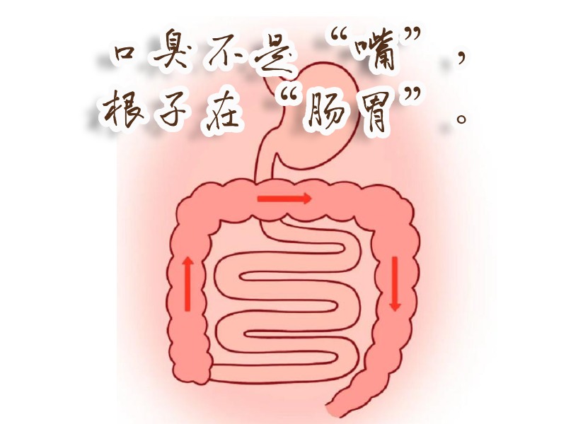 肠胃口臭