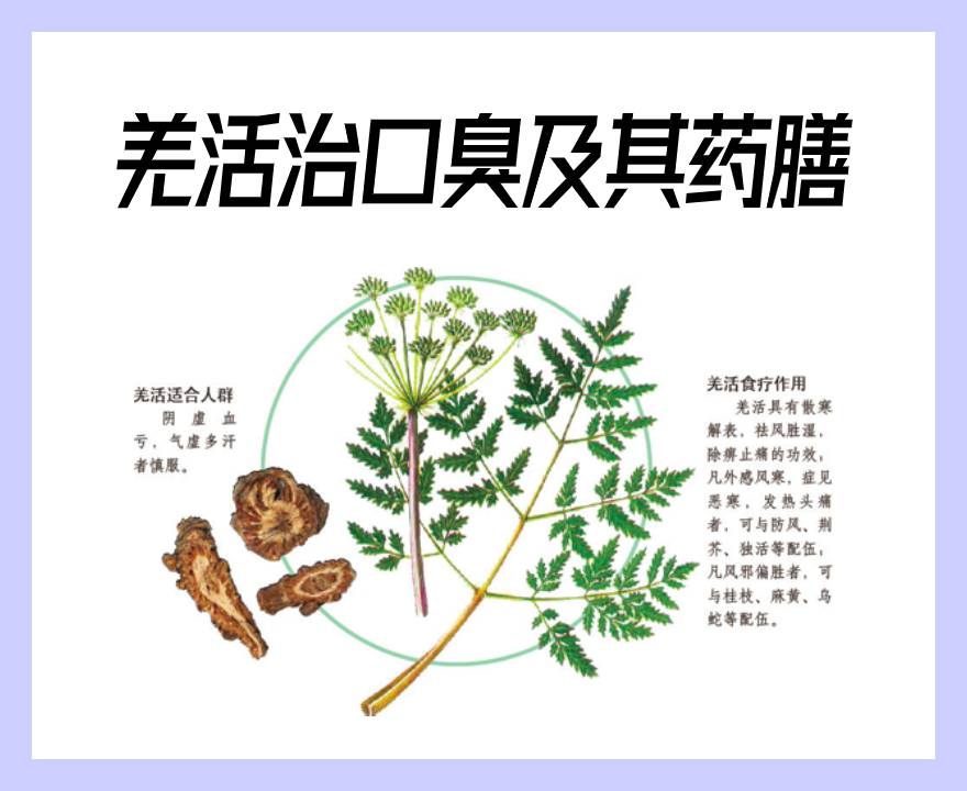 中药羌活