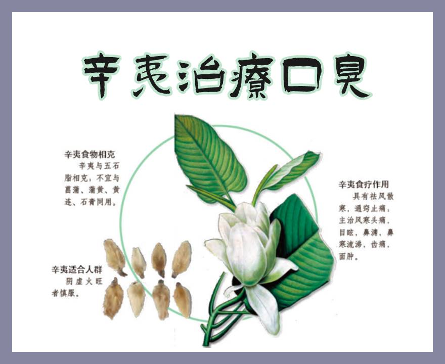 辛夷实拍