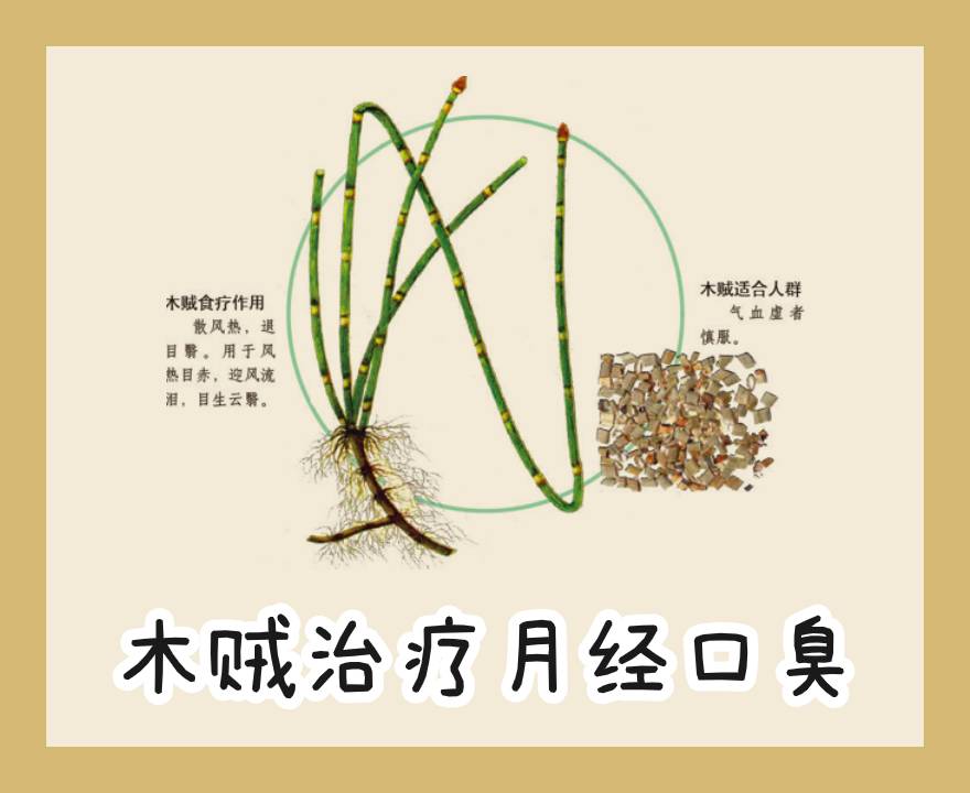 木贼