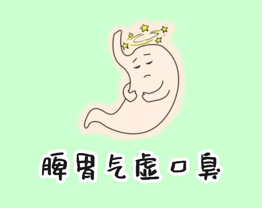 脾胃图