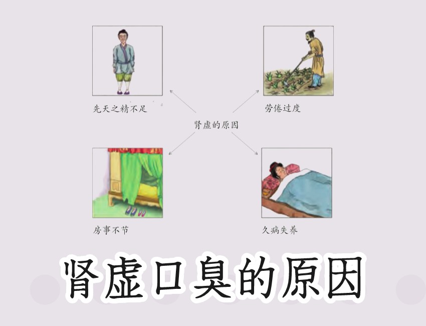 肾虚的原因